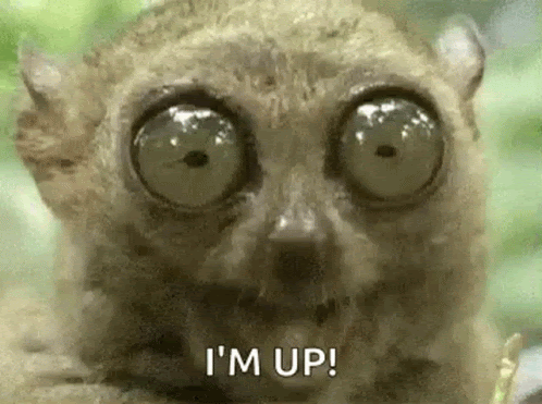 Convincing yourself you are awake on a Monday morning and ready for #Childprotection.