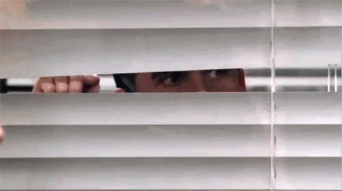 When your client peeps through the blinds of the window but refuses to open the door during a home visit...