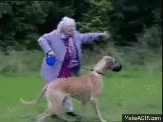 Some cases just... take you for a ride!!!